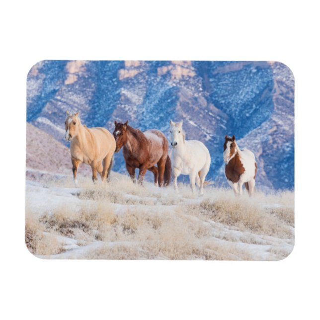 Cowboy Horse Drive auf der Hideout Ranch Magnet (Horizontal)