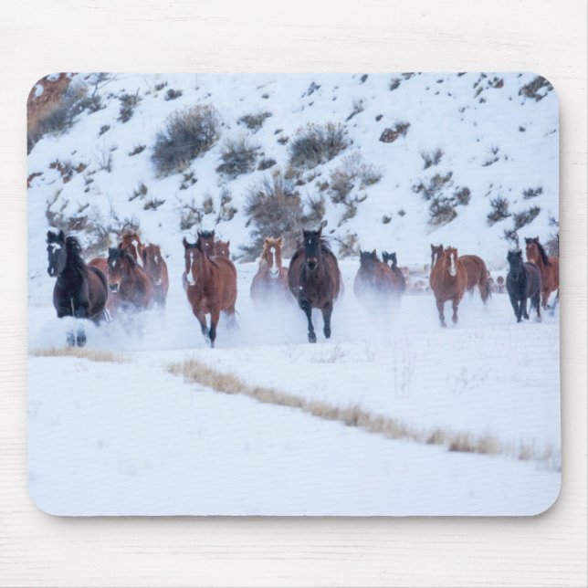Cowboy Horse Drive | Hideout Ranch Muschel, Wyomin Mousepad (Vorne)