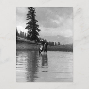 Cowboy in einem Teich Postkarte