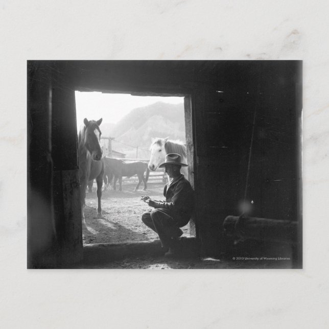 Cowboy in einer Tür mit Pferden Postkarte (Vorderseite)