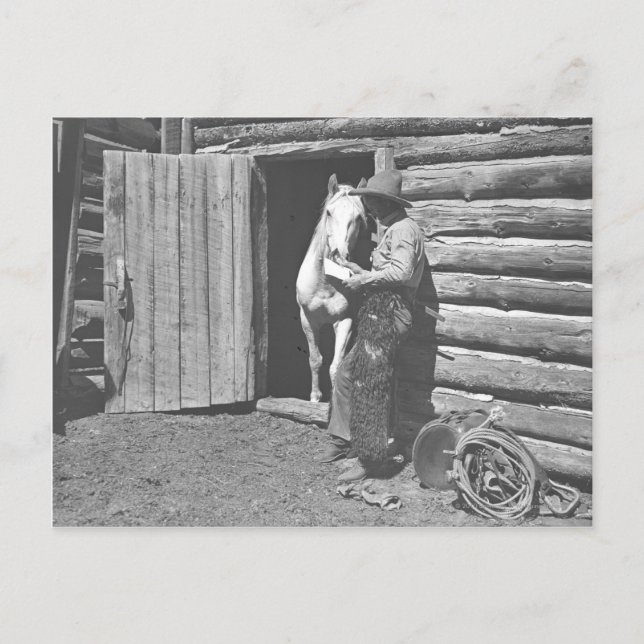 Cowboy liest einen Brief. Postkarte (Vorderseite)