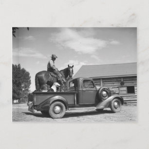 Cowboy mit Pferd in einem LKW Postkarte