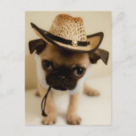 Cowboy-Mops-Welpe Postkarte