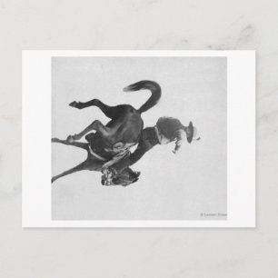 Cowboy Ned Coy Riding Bucking Bronco Postkarte