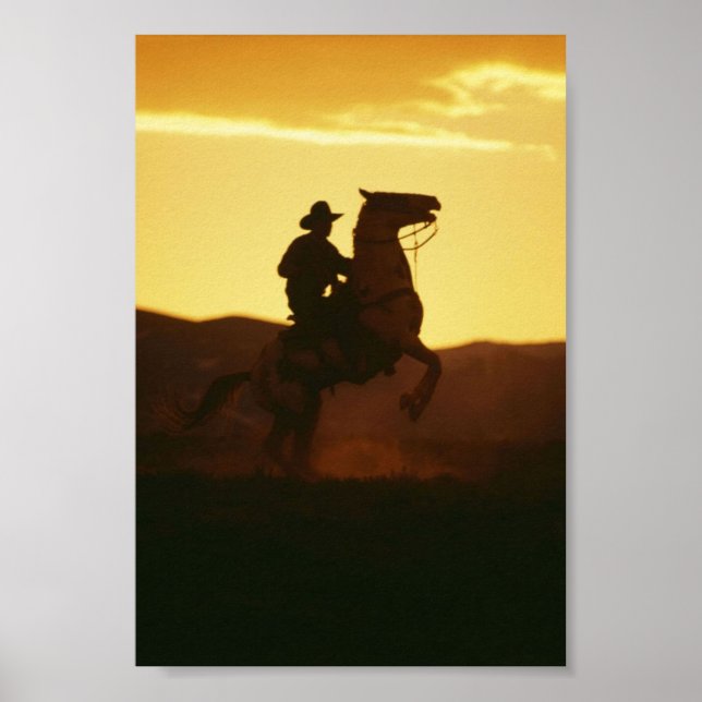 Cowboy on Rearing Horse Poster (Vorne)