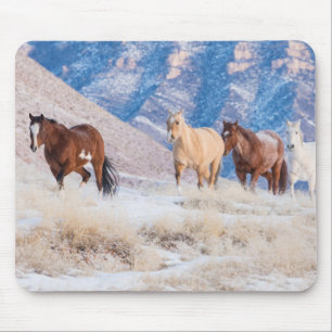 Cowboy-Pferdeführung auf der Hideout Ranch Mousepad