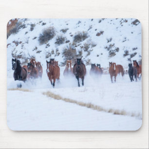 Cowboy Pferdetrieb Hideout Ranch Shell, Wyoming Mousepad