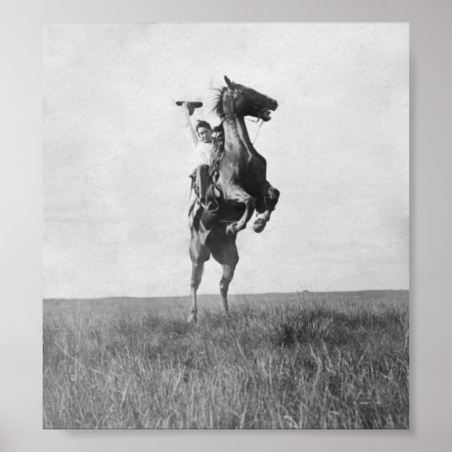 Cowboy Rides Bronco Poster (Vorne)