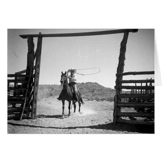 Cowboy roping (Vorderseite (Horizontal))