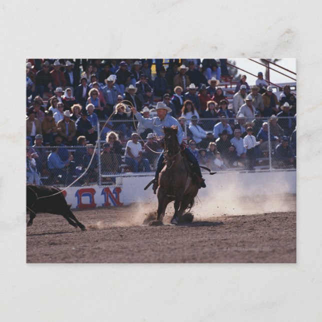 Cowboy Roping Calf in Rodeo Postkarte (Vorderseite)