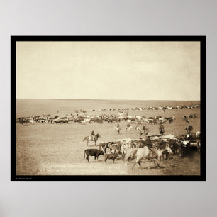Cowboy Round-Up in Belle Fouche SD 1887 Poster