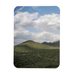 Cowboy Skyline Decorative Western Wüste Magnet
