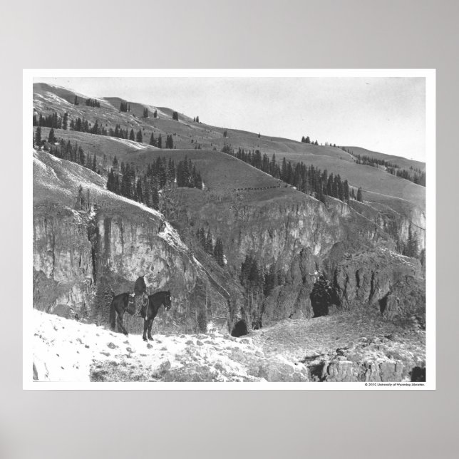 Cowboy trennte sich von seiner Herde. Poster (Vorne)