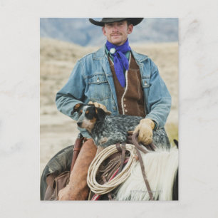 Cowboy und Hund auf Pferd Postkarte