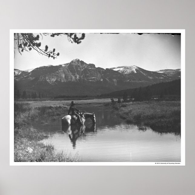 Cowboy und Pferd im Teich Poster (Vorne)