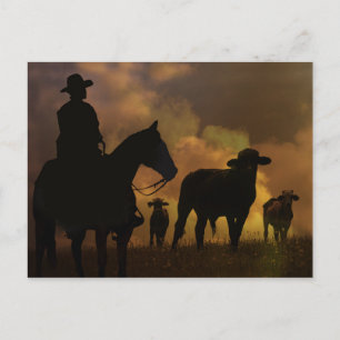 Cowboy und Steers Dusty Sunset Country Western Postkarte