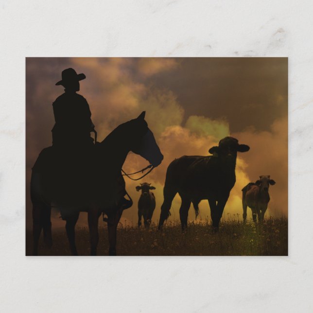 Cowboy und Steers Dusty Sunset Country Western Postkarte (Vorderseite)
