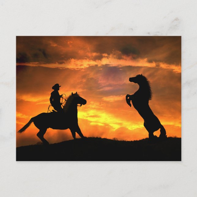 Cowboy und Wildpferde Western Postkarte (Vorderseite)