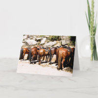 Cowboy up Get well bald card