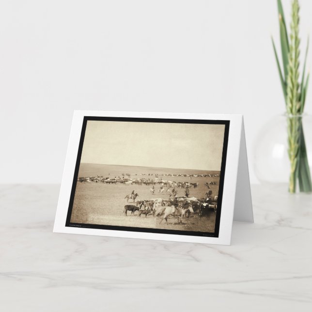 Cowboy-Zusammenfassung an der Schönheit Fouche Sd Karte (Vorderseite)