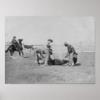 Cowboys Branding a Calf FotoSouth Dakota