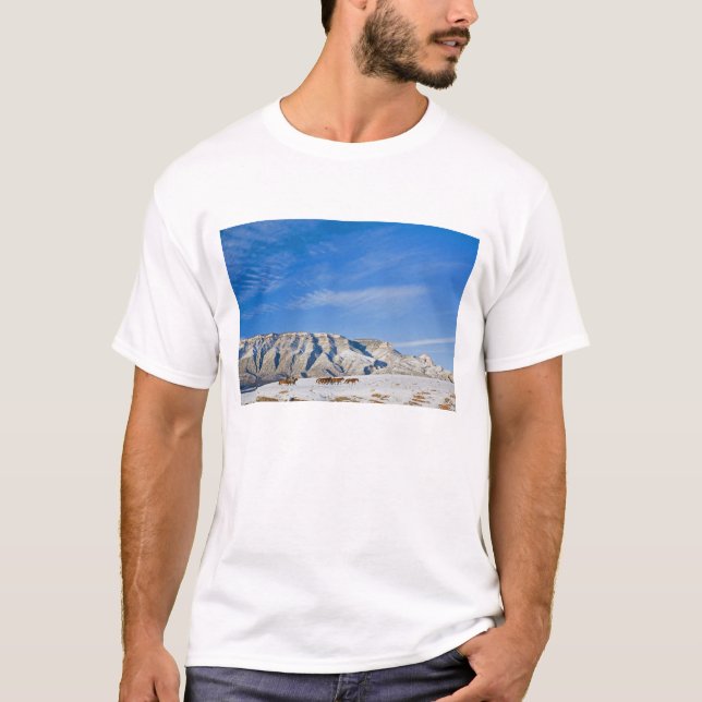 Cowboys mit Herz der Pferde T-Shirt (Vorderseite)