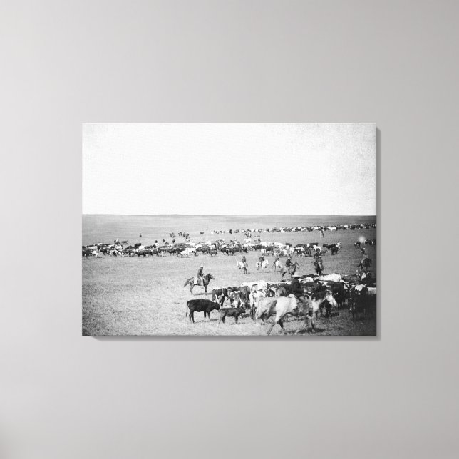 Cowboys mit Rind auf der Range Fotograf Leinwanddruck (Vorderseite)
