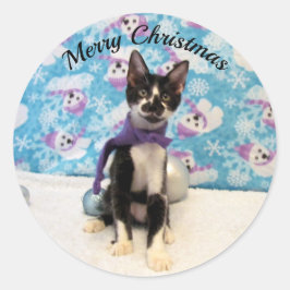 Cowboys Weihnachten - Katze / Kitten Stickers