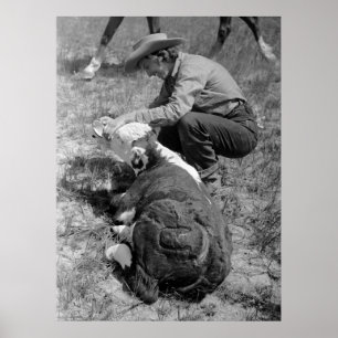 Cowgirl, das TLC, Dreißigerjahre gibt Poster