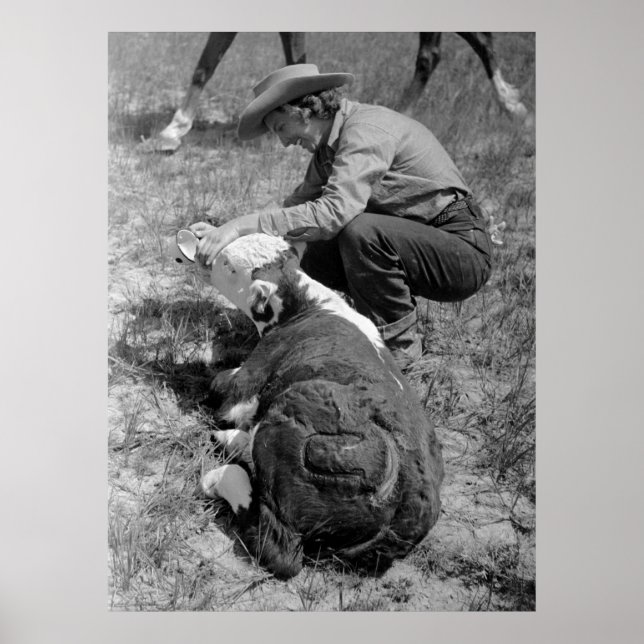 Cowgirl Giving TLC, 30er Poster (Vorne)