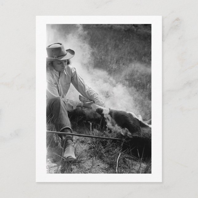 Cowgirl Rassling a Calf, 30er Postkarte (Vorderseite)