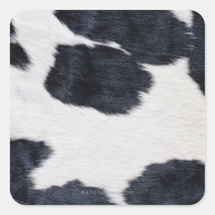 Cowhid Print Quadratischer Aufkleber