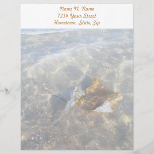 Cownose Stingray OBX Serie Buchstaben Briefbogen