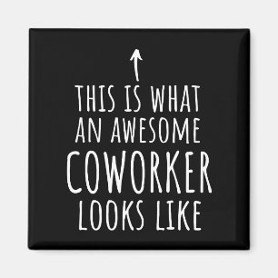 Coworker Gift, Coworker Tasse, Phantastisch Cowork Magnet