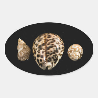 Cowrie Cones 2 Sticker
