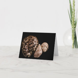 Cowrie Cones Card Karte