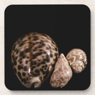 Cowrie Cones Cork Untersetzer