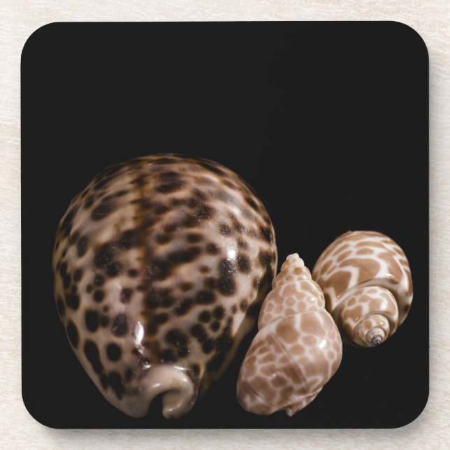 Cowrie Cones Cork Untersetzer (Vorderseite)