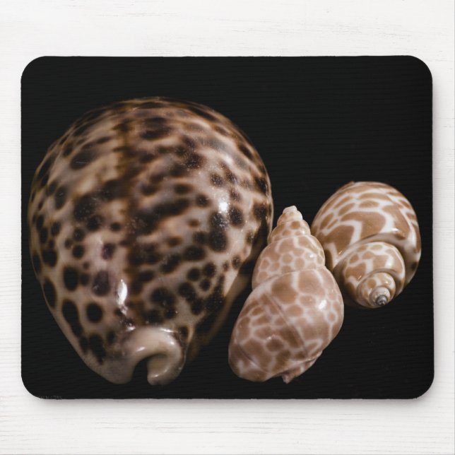Cowrie Cones Mousepad (Vorne)