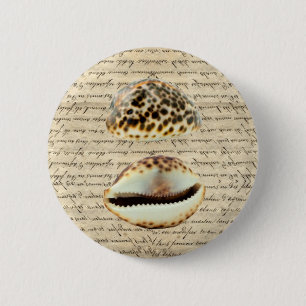 Cowrie Muscheln Button