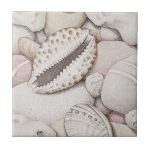 Cowrie u. Ohrschnecken-Muschel-und Fliese