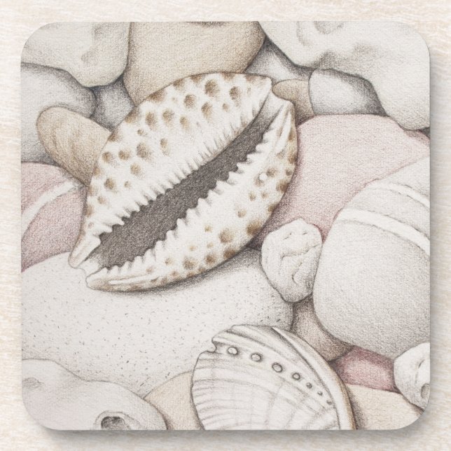 Cowrie-u. Ohrschnecken-Muscheln u. Untersetzer (Vorderseite)