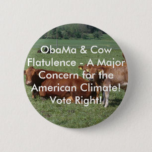 cows-19rq, ObaMa- u. Kuh-Blähung - ein bedeutende Button