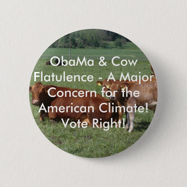 cows-19rq, ObaMa- u. Kuh-Blähung - ein bedeutender Button (Vorderseite)