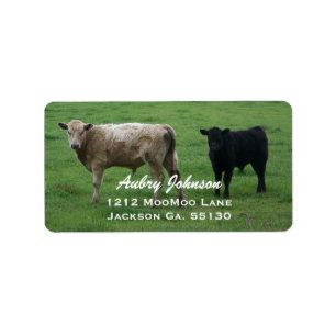 Cows Address Labels Adressaufkleber