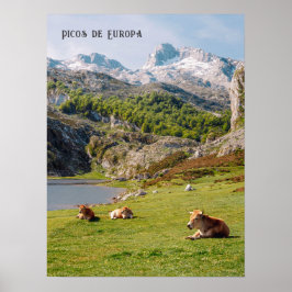 Cows by the Lakes of Covadonga, Asturias travel Poster