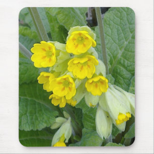 Cowslip Blumen Mousepad