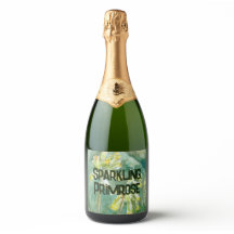 Cowslips Primula veris Sparkling