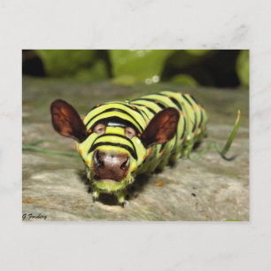 Cowtersäule Postkarte