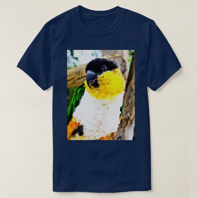 Coy T-Shirt (Design vorne)